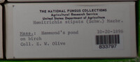 Image Associated With the Occurence